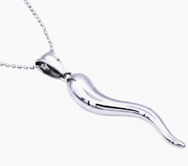 "Corno Italiano d'Argento" Wear your fortune. Shine with meaning. Inspired by centuries of Italian tradition, the Corno Italiano d’Argento is believed to ward off negativity and invite good fortune. This beautifully polished stainless steel horn pendant offers a clean, modern silhouette while honoring the charm’s powerful cultural meaning. Suspended from a 24-inch stainless steel curb chain, it’s built to shine, resist tarnish, and complement any style—making it an everyday piece of protection and confidence. Perfect as a thoughtful gift or a personal symbol of strength, luck, and Italian heritage.